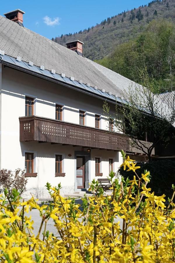 Pr'Mruzo Apartmaji Bohinj Eksteriør bilde