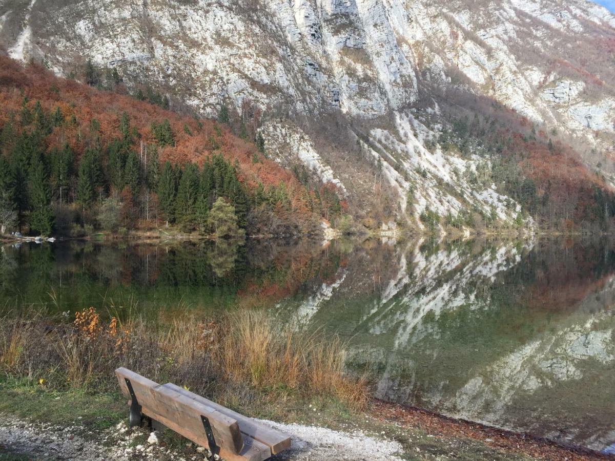 Pr'Mruzo Apartmaji Bohinj Eksteriør bilde
