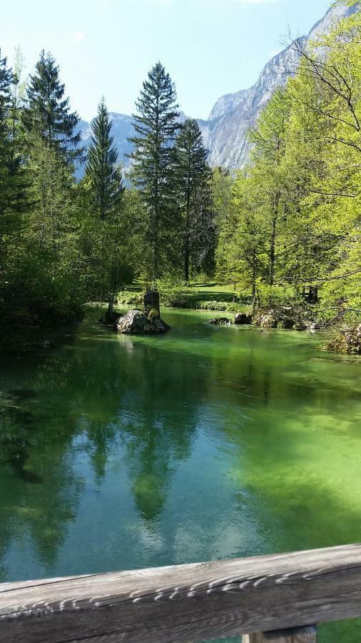 Pr'Mruzo Apartmaji Bohinj Eksteriør bilde